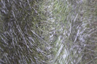 Donington Eaudike fibreglass roof work